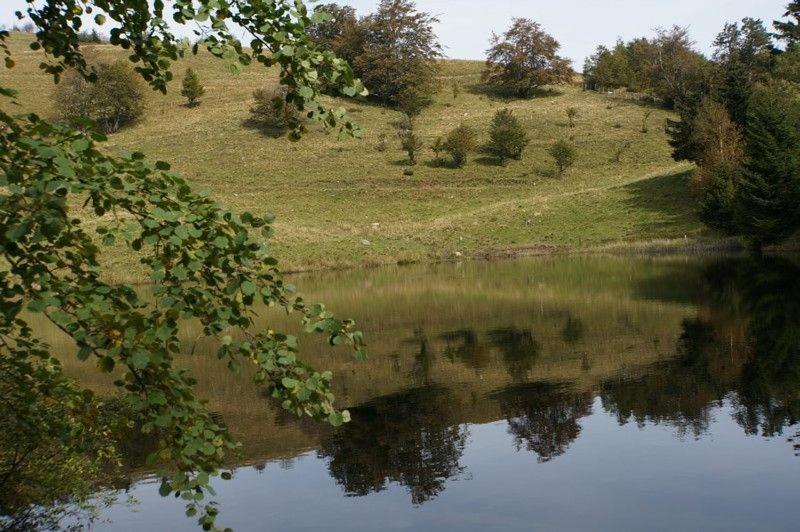 Gite De Famille Dans Les Vosges Saint-Maurice-sur-Moselle Exterior foto