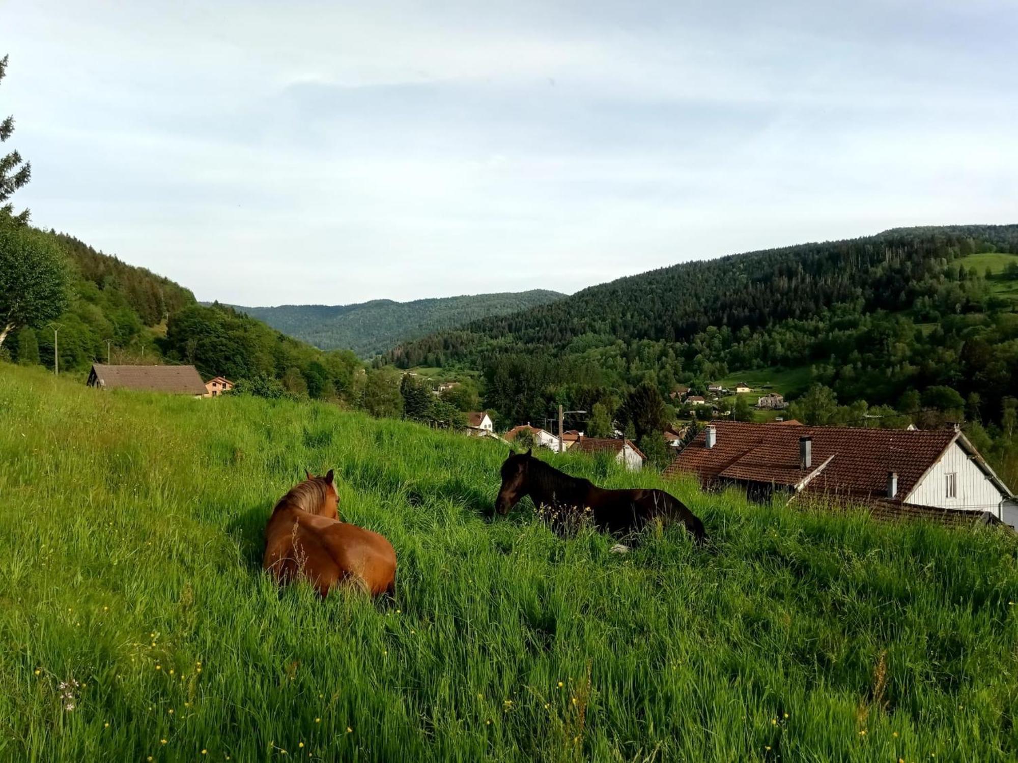 Gite De Famille Dans Les Vosges Saint-Maurice-sur-Moselle Exterior foto