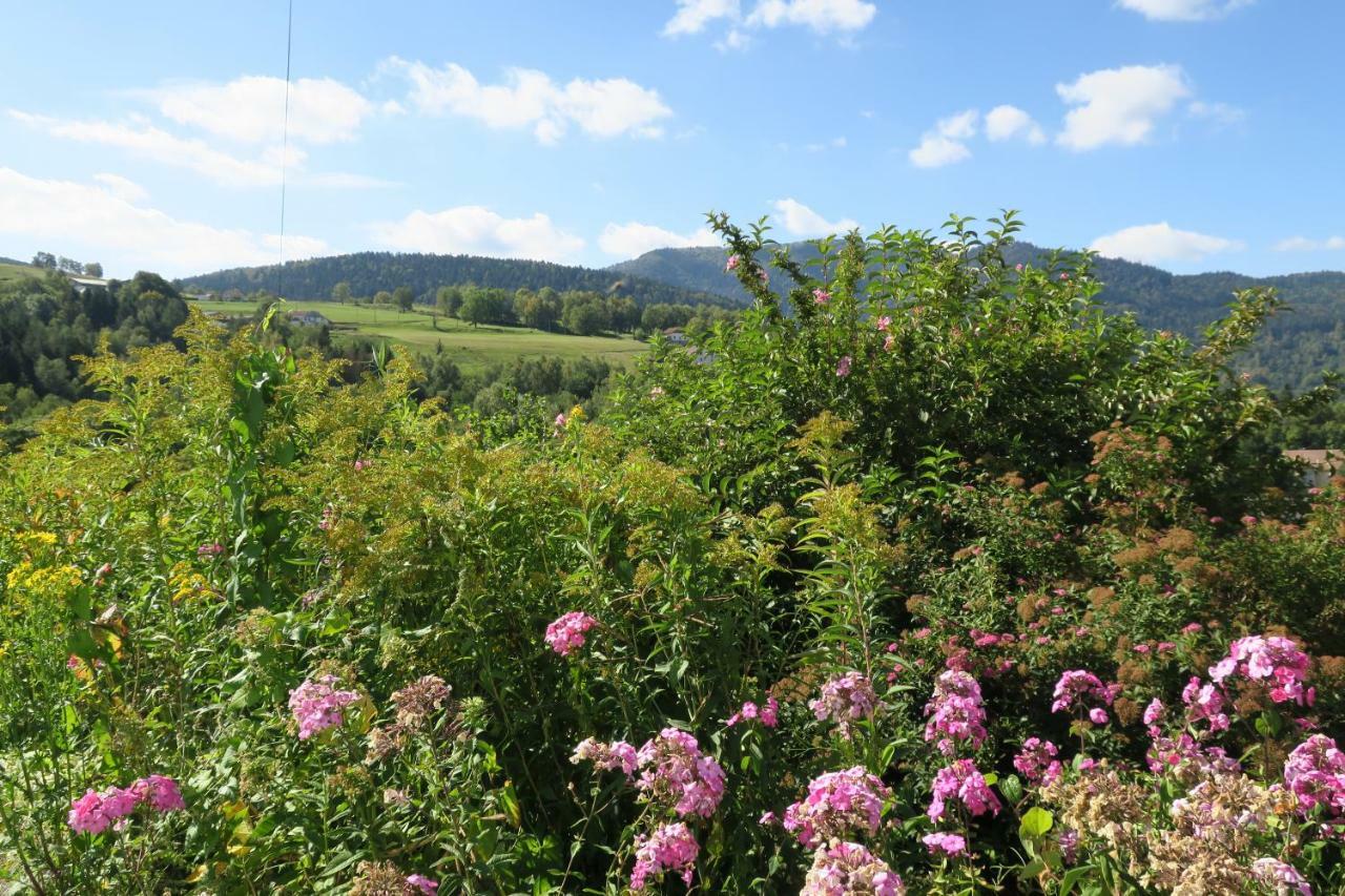 Gite De Famille Dans Les Vosges Saint-Maurice-sur-Moselle Exterior foto