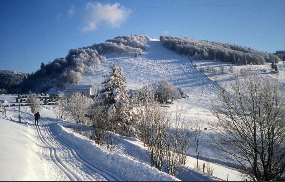Gite De Famille Dans Les Vosges Saint-Maurice-sur-Moselle Exterior foto